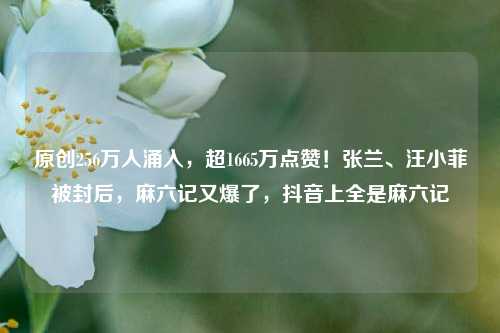 原创256万人涌入，超1665万点赞！张兰、汪小菲被封后，麻六记又爆了，抖音上全是麻六记