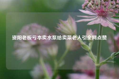 资阳老板亏本卖水泵给卖菜老人引全网点赞