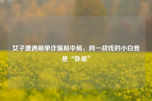 女子遭遇刷单诈骗局中局，同一战线的小白竟是“卧底”
