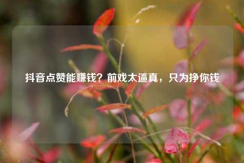 抖音点赞能赚钱？前戏太逼真，只为挣你钱