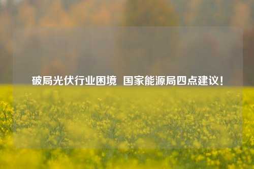 破局光伏行业困境  国家能源局四点建议！