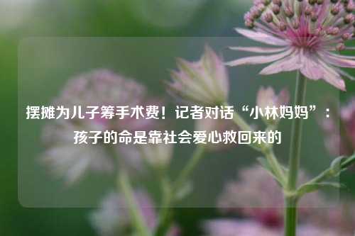 摆摊为儿子筹手术费！记者对话“小林妈妈”：孩子的命是靠社会爱心救回来的