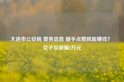 大连市公安局 警务信息 随手点赞就能赚钱？ 女子反被骗2万元