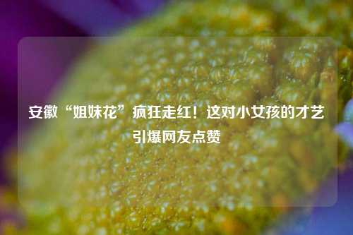 安徽“姐妹花”疯狂走红！这对小女孩的才艺引爆网友点赞