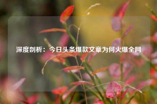 深度剖析：今日头条爆款文章为何火爆全网