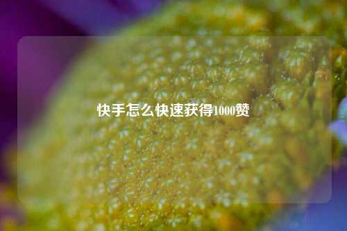 快手怎么快速获得1000赞