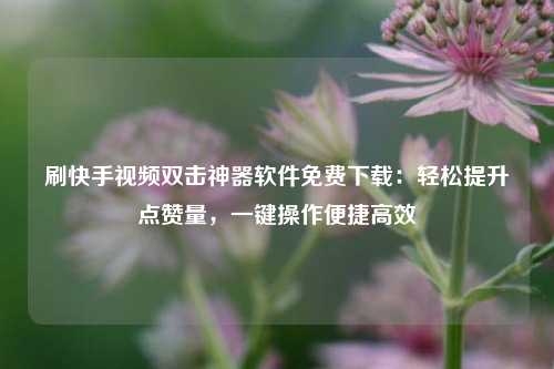 刷快手视频双击神器软件免费下载：轻松提升点赞量，一键操作便捷高效