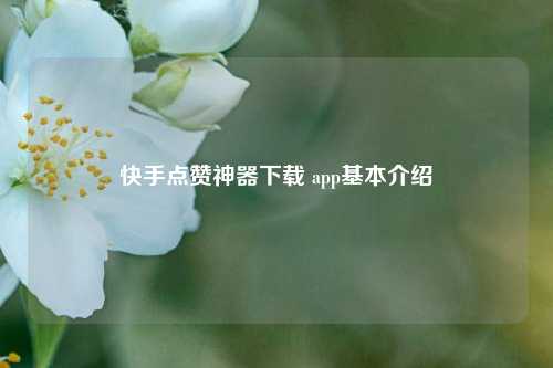 快手点赞神器下载 app基本介绍