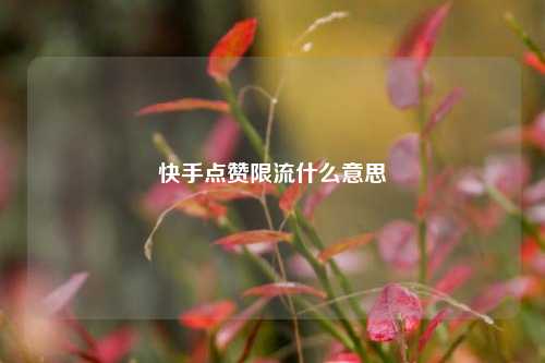 快手点赞限流什么意思