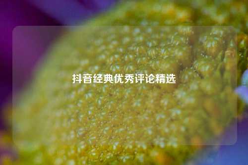抖音经典优秀评论精选