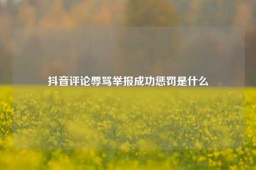 抖音评论辱骂举报成功惩罚是什么