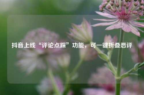 抖音上线“评论点踩”功能，可一键折叠恶评