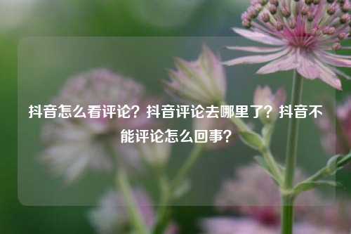 抖音怎么看评论？抖音评论去哪里了？抖音不能评论怎么回事？