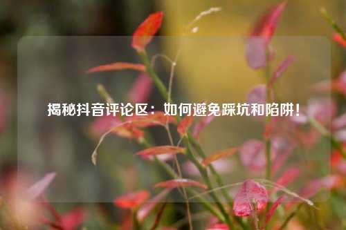 揭秘抖音评论区：如何避免踩坑和陷阱！