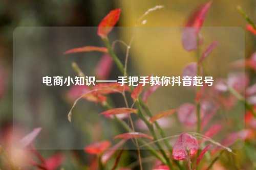 电商小知识——手把手教你抖音起号