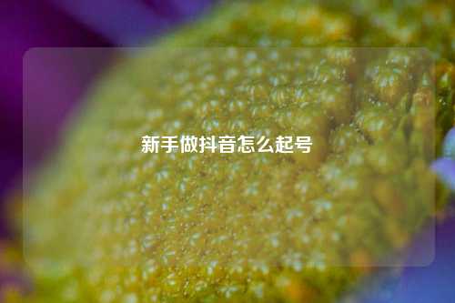 新手做抖音怎么起号