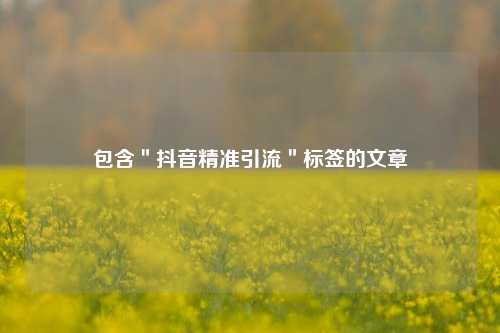 包含＂抖音精准引流＂标签的文章