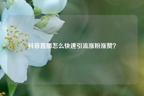 抖音直播怎么快速引流涨粉涨赞？