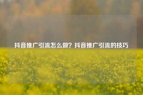 抖音推广引流怎么做？抖音推广引流的技巧