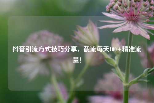 抖音引流方式技巧分享，截流每天100+精准流量！