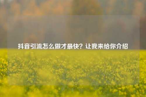 抖音引流怎么做才最快？让我来给你介绍