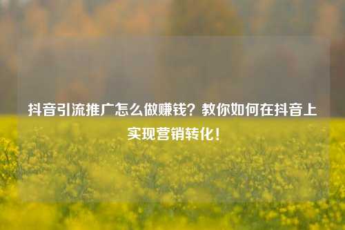 抖音引流推广怎么做赚钱？教你如何在抖音上实现营销转化！