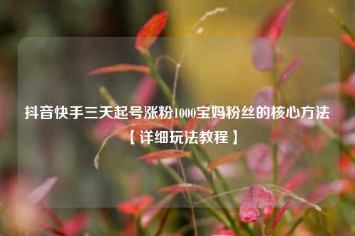 抖音快手三天起号涨粉1000宝妈粉丝的核心方法【详细玩法教程】