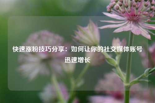 快速涨粉技巧分享：如何让你的社交媒体账号迅速增长