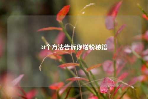 34个方法告诉你增粉秘籍