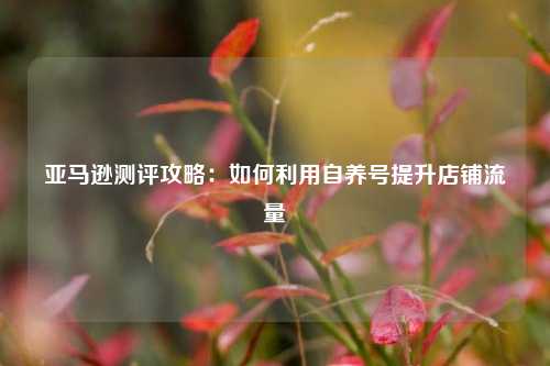 亚马逊测评攻略：如何利用自养号提升店铺流量