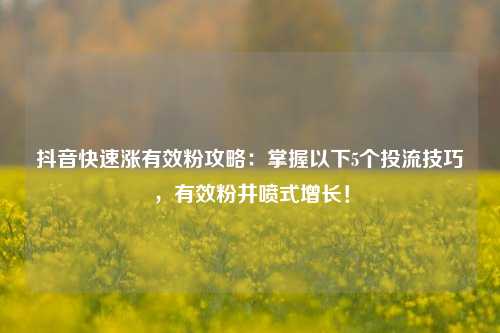 抖音快速涨有效粉攻略：掌握以下5个投流技巧，有效粉井喷式增长！