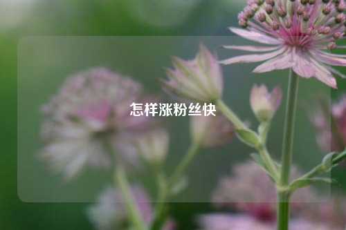 怎样涨粉丝快