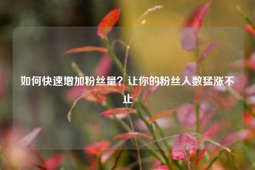 如何快速增加粉丝量？让你的粉丝人数猛涨不止