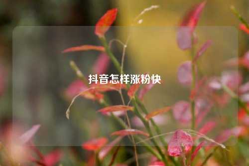 抖音怎样涨粉快