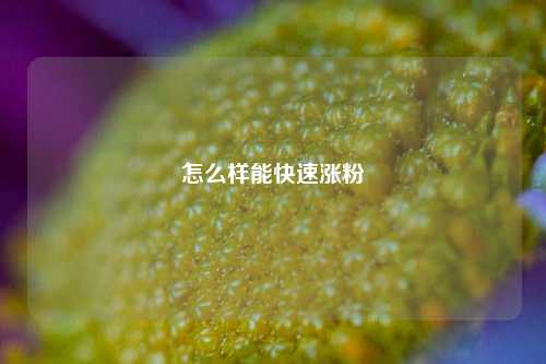 怎么样能快速涨粉