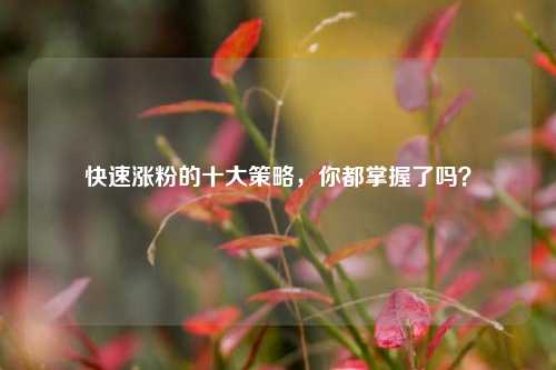 快速涨粉的十大策略，你都掌握了吗？