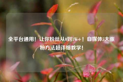 全平台通用！让你粉丝从0到1W+！自媒体5大涨粉方法超详细教学！