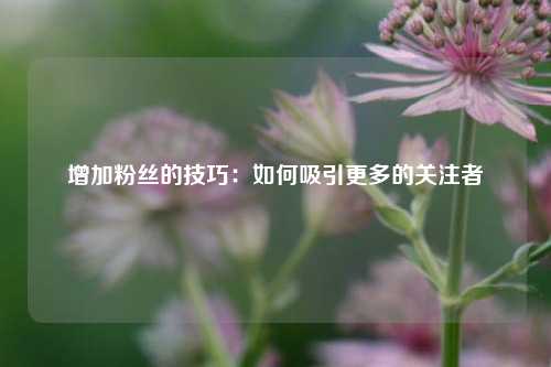 增加粉丝的技巧：如何吸引更多的关注者