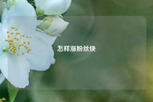 怎样涨粉丝快