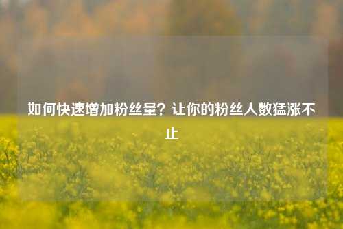 如何快速增加粉丝量？让你的粉丝人数猛涨不止