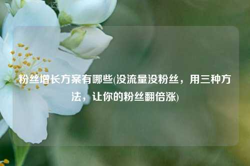 粉丝增长方案有哪些(没流量没粉丝，用三种方法，让你的粉丝翻倍涨)
