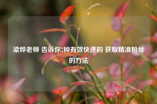 梁烨老师 告诉你7种有效快速的 获取精准粉丝的方法
