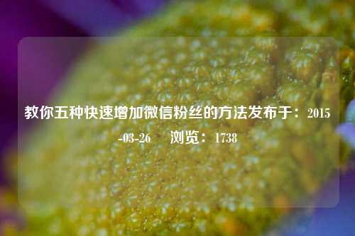 教你五种快速增加微信粉丝的方法发布于：2015-03-26 　浏览：1738