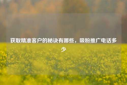 获取精准客户的秘诀有哪些，吸粉推广电话多少