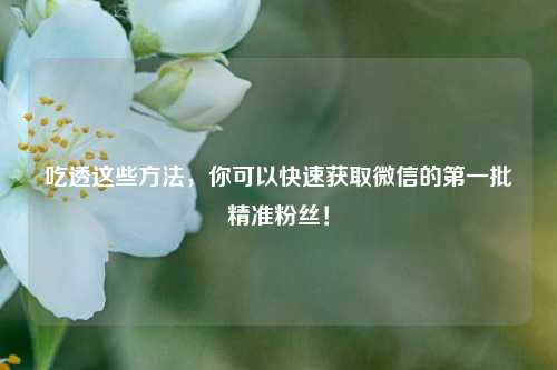 吃透这些方法，你可以快速获取微信的第一批精准粉丝！