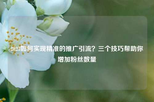 2023如何实现精准的推广引流？三个技巧帮助你增加粉丝数量