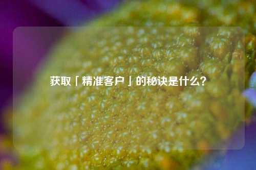 获取「精准客户」的秘诀是什么？