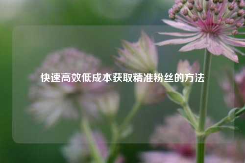 快速高效低成本获取精准粉丝的方法