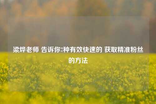 梁烨老师 告诉你7种有效快速的 获取精准粉丝的方法